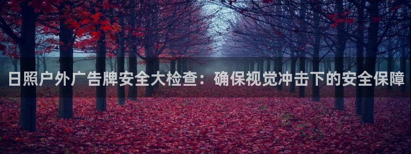 杏宇平台注册地址在哪里