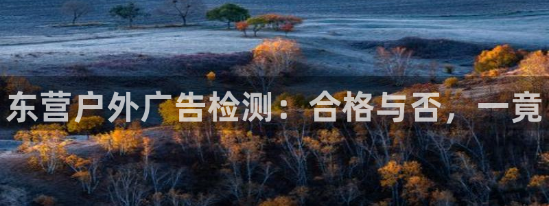 杏宇平台注册地址