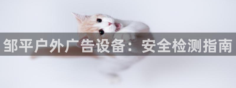 杏宇平台官网注册