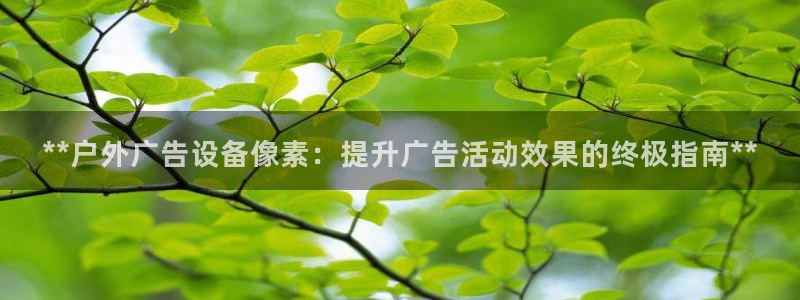 杏宇平台代理怎么样：**户外广告设备像素：提升广告活动效果的终极指南**