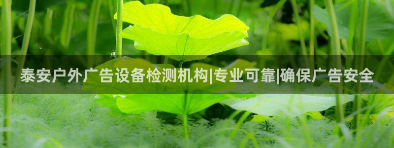 杏宇平台怎么样知乎：泰安户外广告设备检测机构|专业可靠|确保广告安全