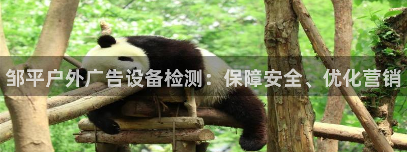 杏宇平台登录步骤：邹平户外广告设备检测：保障安全、优化营销