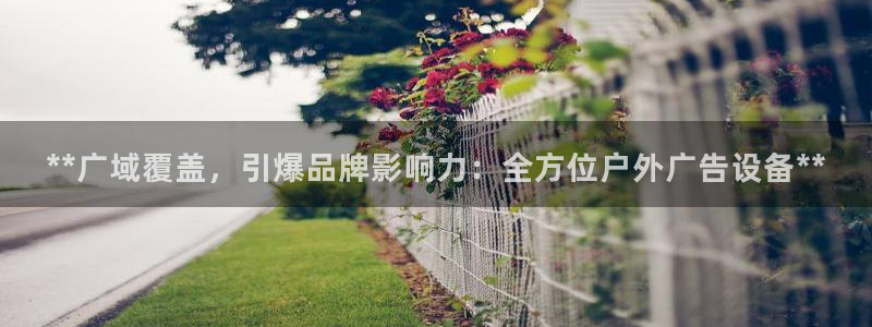 杏宇平台登录方法：**广域覆盖，引爆品牌影响力：全方位户外广告设备**