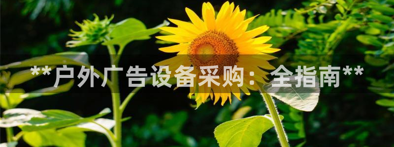 杏宇平台怎么样知乎：**户外广告设备采购：全指南**