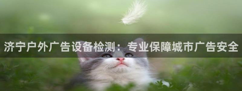 杏宇平台代理
