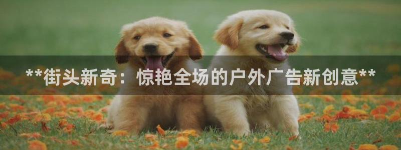 杏宇平台代理多少钱一个月