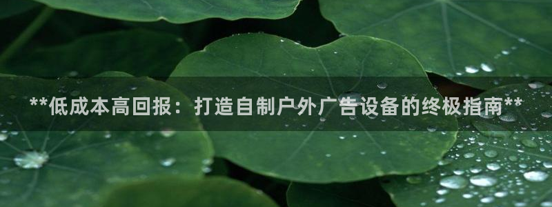杏宇平台代理多少钱一个：**低成本高回报：打造自制户外广告设备的终极指南**
