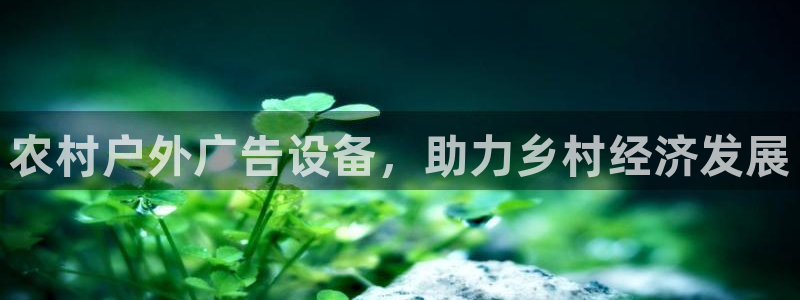 杏宇平台代理