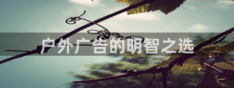 杏宇代理注册