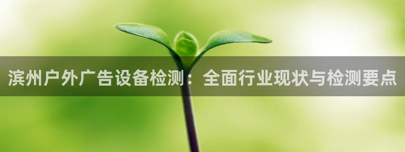 杏宇平台代理多少钱一个