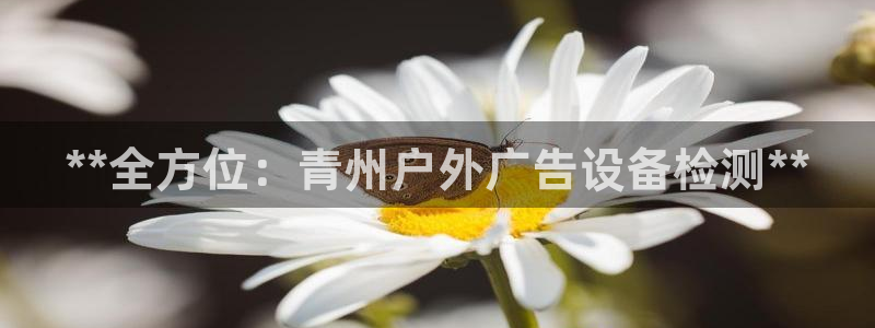 杏宇平台招商电话号码