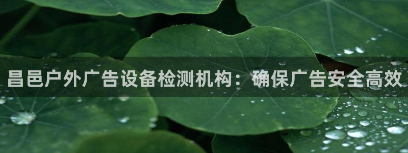杏宇平台怎么样
