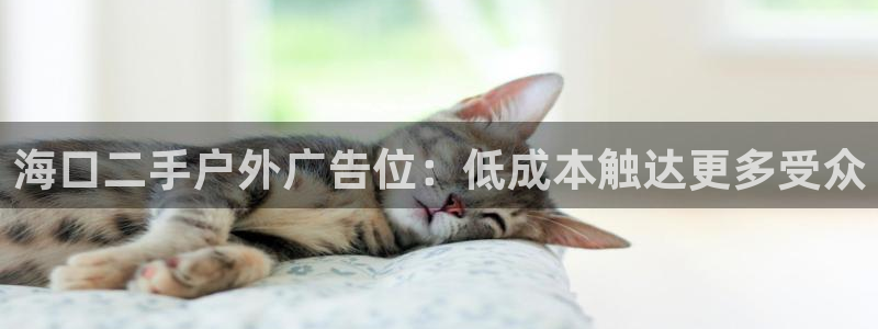 杏宇平台客服