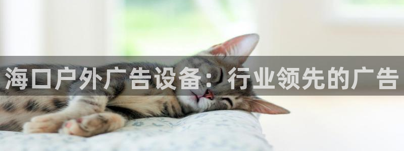 杏宇平台测速链接：海口户外广告设备：行业领先的广告