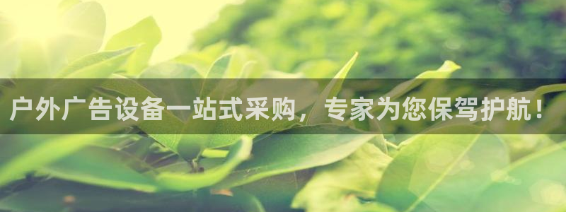 杏宇平台怎么样