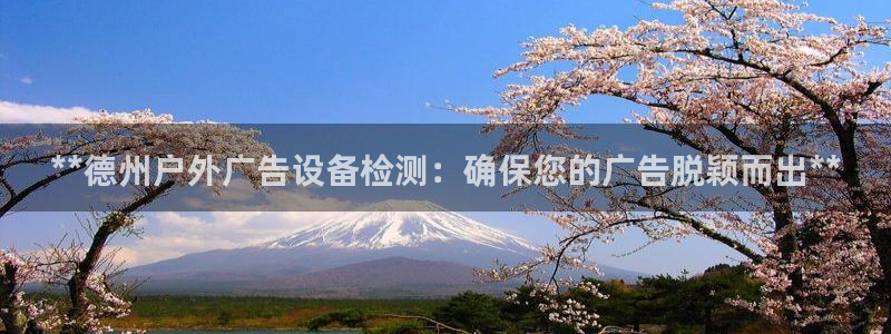 杏宇平台官网注册：**德州户外广告设备检测：确保您的广告脱颖而出**