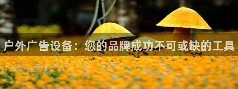 杏宇平台代理多少钱一个