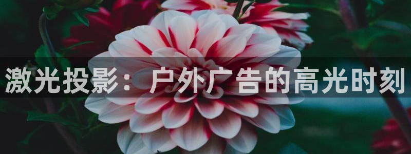 杏宇平台代理多少钱