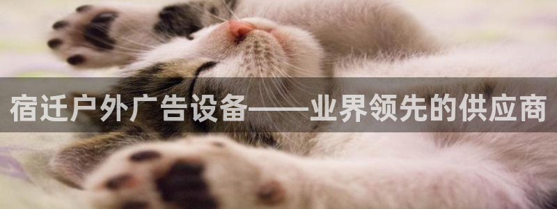 杏宇平台代理多少钱一次