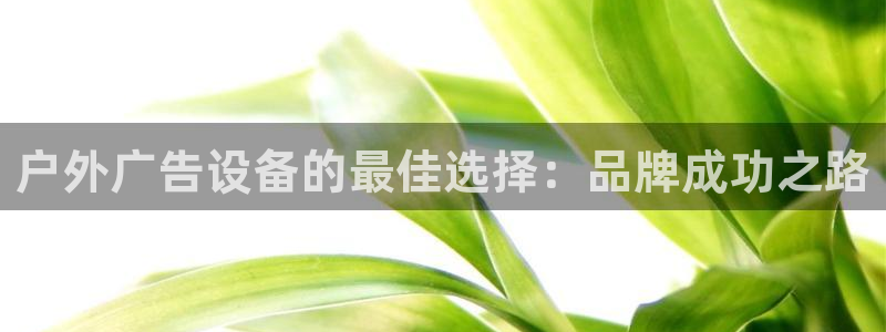 杏宇平台登录步骤图