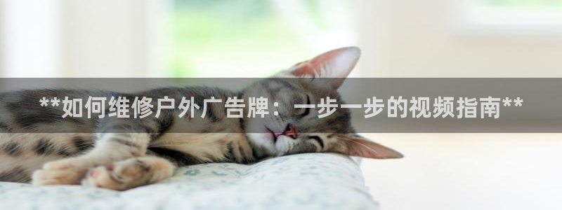 杏宇平台代理怎么样