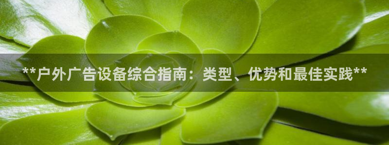 杏宇平台总代理电话