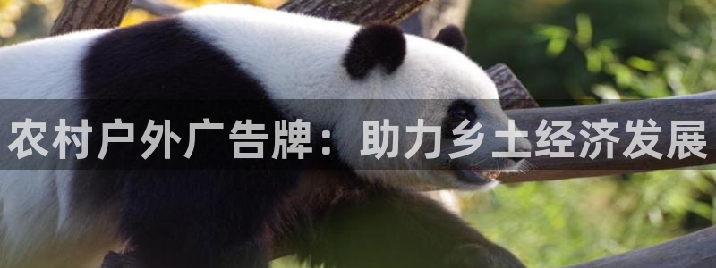 杏宇平台怎么样赚钱