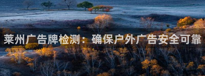 杏宇平台登录步骤