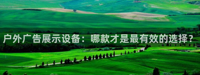 杏宇平台官网注册