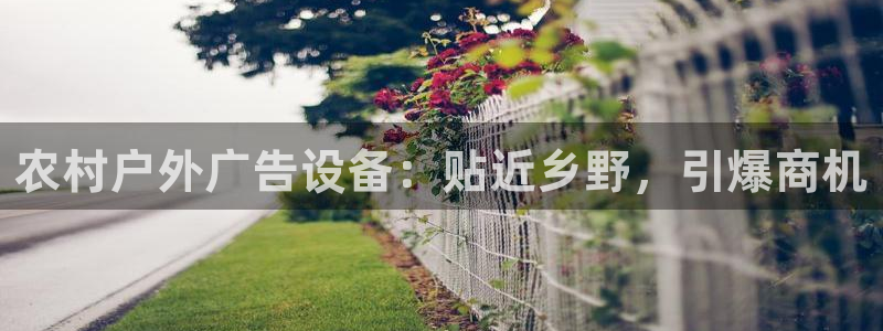 杏宇平台登录步骤