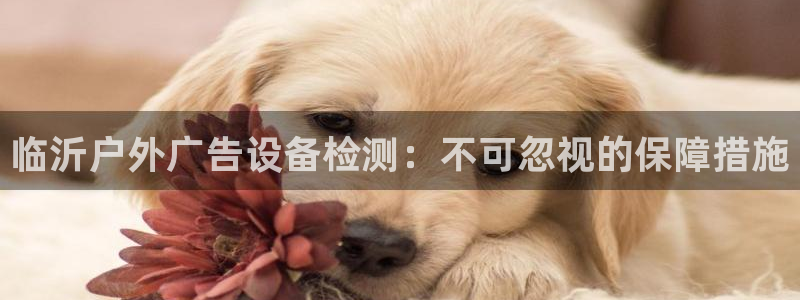 杏宇平台注册登录
