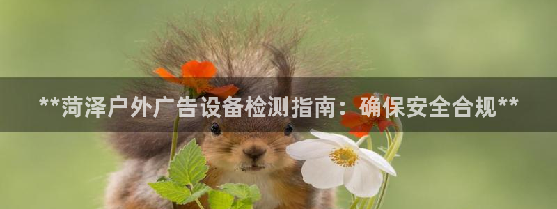 杏宇平台招商怎么样：**菏泽户外广告设备检测指南：确保安全合规**