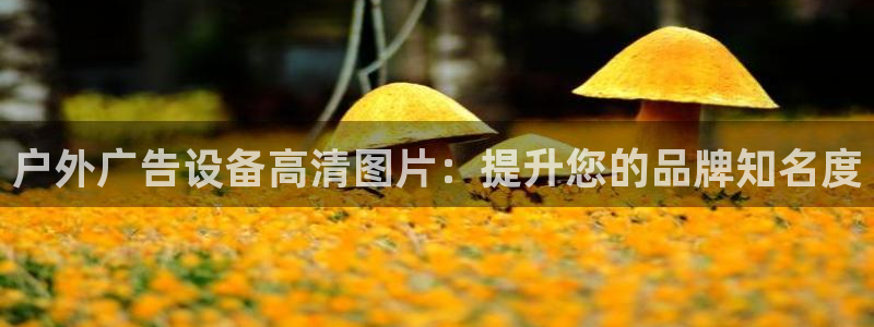 杏宇平台开户
