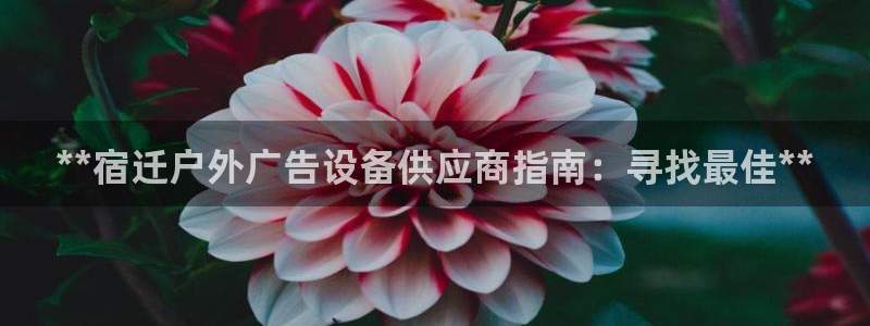 杏宇平台代理多少钱一个月：**宿迁户外广告设备供应商指南：寻找最佳**