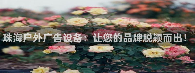 杏宇平台总代理是谁