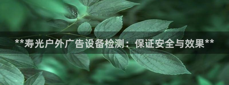 杏宇平台官网注册：**寿光户外广告设备检测：保证安全与效果**
