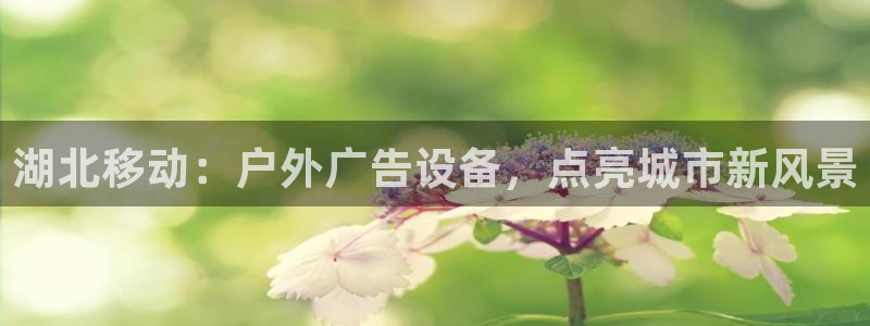杏宇平台开户