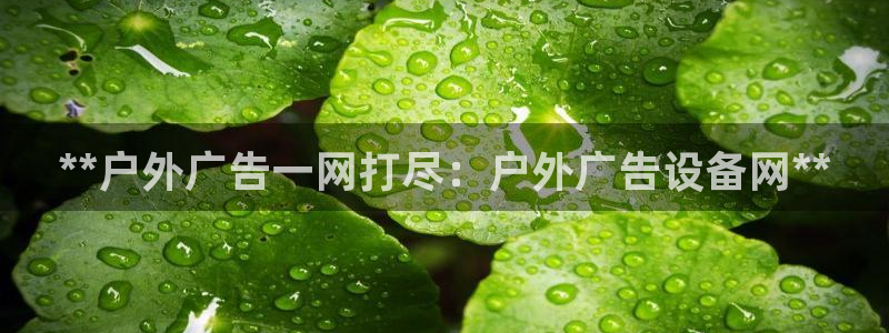 杏宇平台怎么样：**户外广告一网打尽：户外广告设备网**