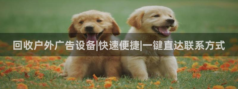 杏宇平台官网注册