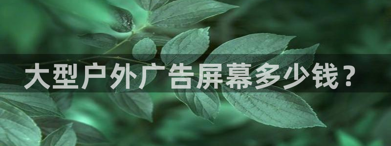 杏宇平台代理怎么赚钱