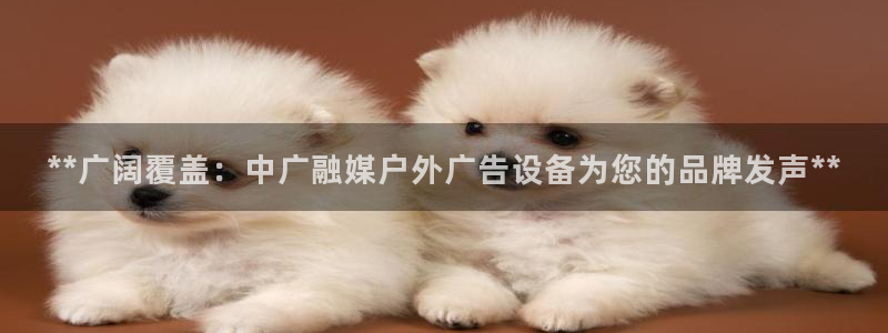 杏宇平台代理怎么样赚钱：**广阔覆盖：中广融媒户外广告设备为您的品牌发声**