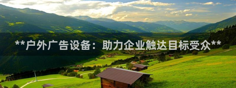 杏宇平台是什么