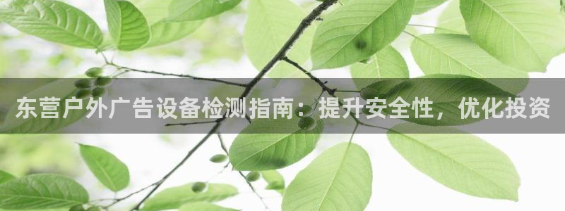 杏宇平台官网注册：东营户外广告设备检测指南：提升安全性，优化投资