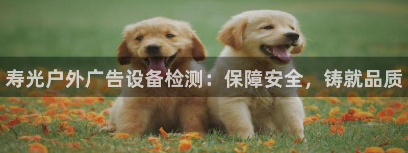 杏宇平台招商：寿光户外广告设备检测：保障安全，铸就品质