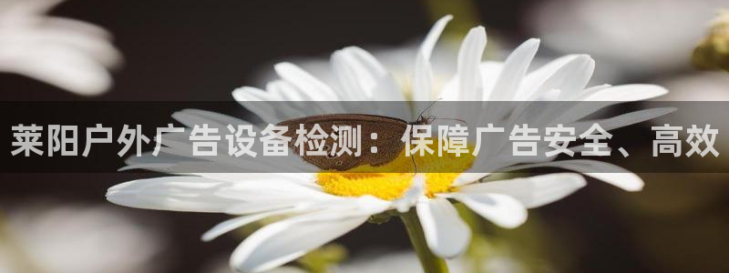 杏宇平台登录步骤