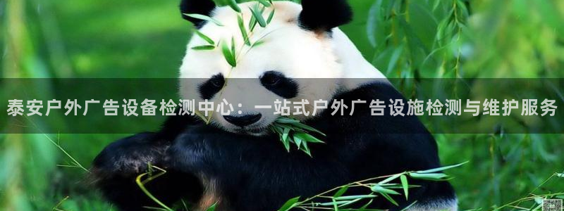 杏宇平台登陆：泰安户外广告设备检测中心：一站式户外广告设施检测与维护服务