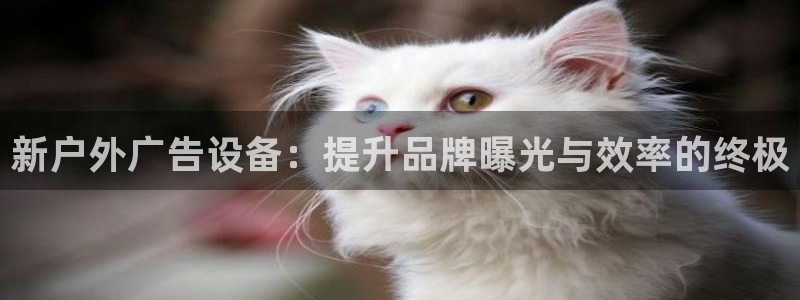 杏宇平台是什么