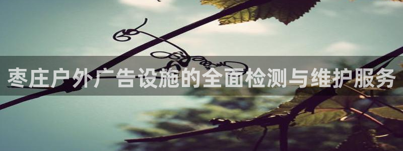 杏宇平台总代理电话：枣庄户外广告设施的全面检测与维护服务