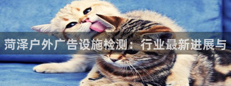 杏宇平台好吗：菏泽户外广告设施检测：行业最新进展与
