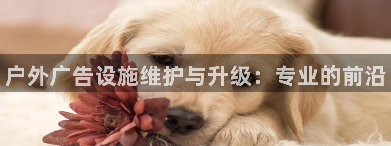 杏宇平台招商：户外广告设施维护与升级：专业的前沿